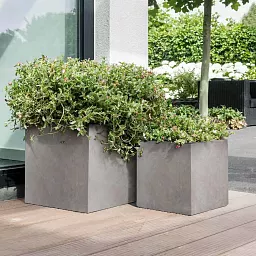 IDEALIST Lite Square Box Contemporary Light Concrete Planter