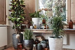 Round Resin Ribbed Planter by Cadix Capi Tutch Vase Elegance Low