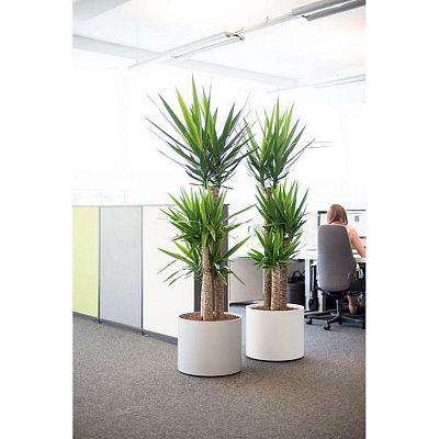 STARLINE Round Plastic Planter