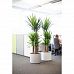 STARLINE Round Plastic Planter