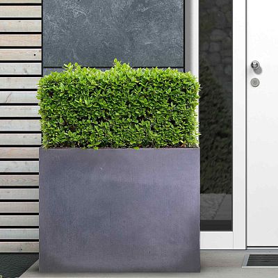 IDEALIST Lite Contemporary Light Concrete Trough Planter Set