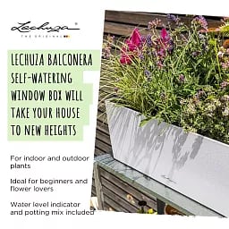LECHUZA BALCONERA Stone Trough Poly Resin Self-watering Planter