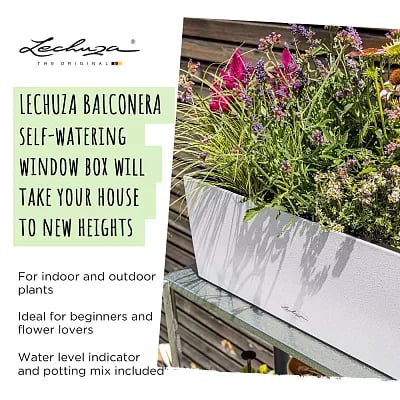 LECHUZA BALCONERA Stone Trough Poly Resin Self-watering Planter