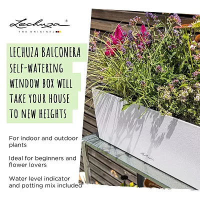 LECHUZA BALCONERA Stone Trough Poly Resin Self-watering Planter