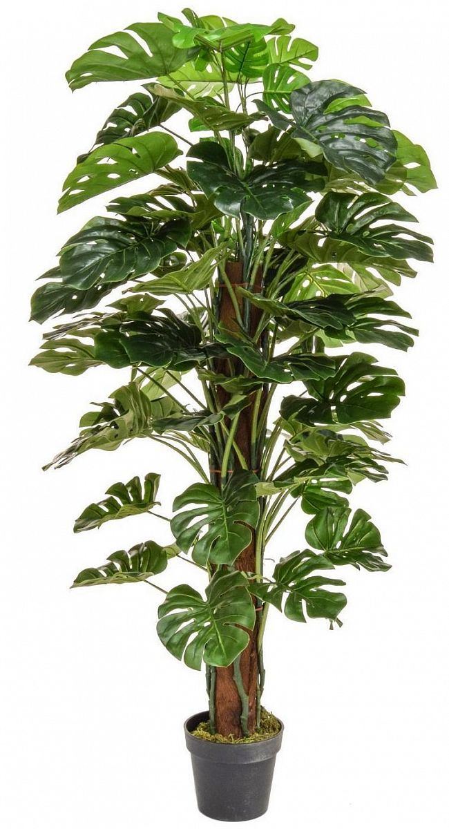 Monstera Artificial Tree Plant