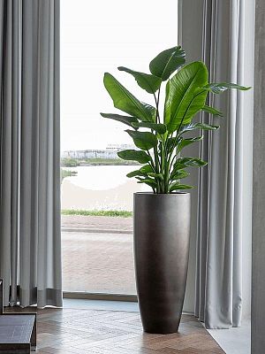Gradient Partner Round Tall Matt Indoor Planter