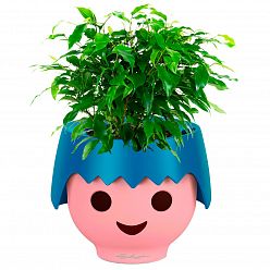 LECHUZA OJO Round Poly Resin Indoor Self-watering Planter