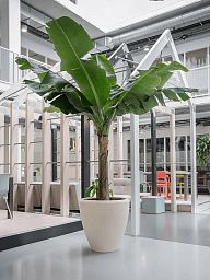 Composits Polystone Couple Round Indoor Planter Pot