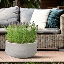 IDEALIST Lite Ribbed Light Concrete Bowl Planter