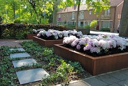 Andes Low Cube Corten Steel Outdoor Planter