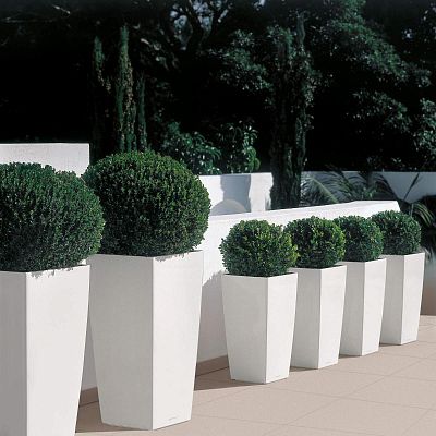 LECHUZA CUBICO Square Tall Poly Resin Self-watering Planter
