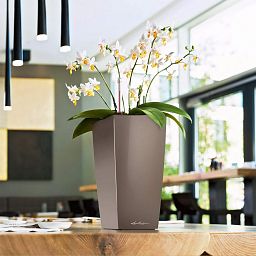 LECHUZA CUBI Square Poly Resin Indoor Self-watering Planter