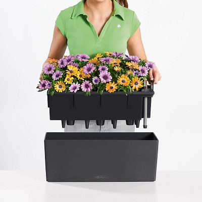 LECHUZA BALCONERA Color Trough Poly Resin Self-watering Planter Set