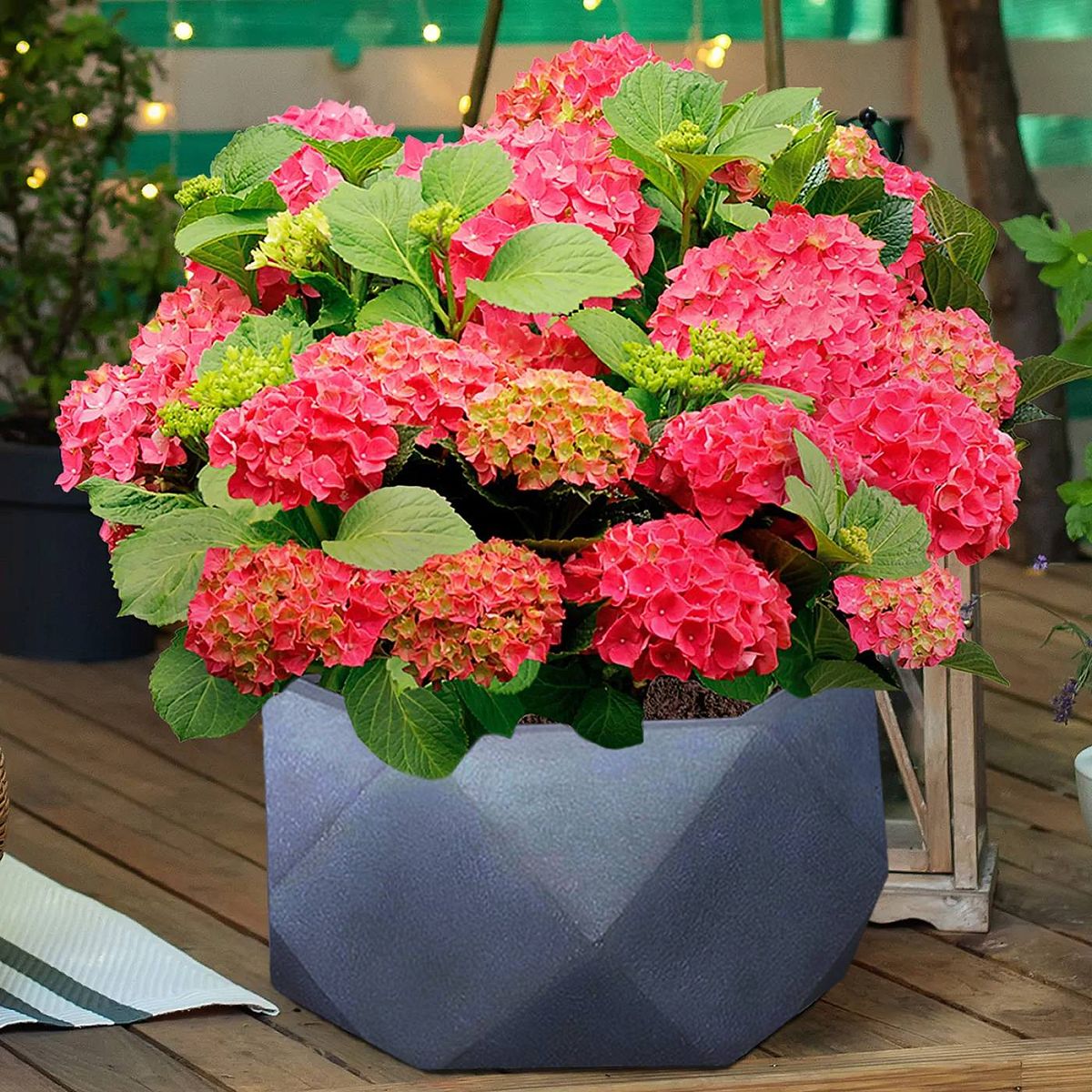 IDEALIST Lite Faceted Effect Bowl Planter Indoor Plant Pot