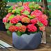 IDEALIST Lite Faceted Effect Bowl Planter Indoor Plant Pot