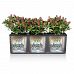 LECHUZA TRIO Cottage Trough Poly Resin Self-watering Planter