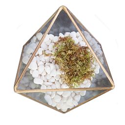 Plant Pot Toppers Stones White River Pebbles