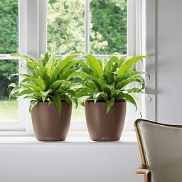 LECHUZA CLASSICO Color Round Poly Resin Self-watering Planter