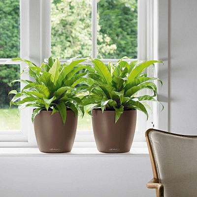 LECHUZA CLASSICO Color Round Poly Resin Self-watering Planter