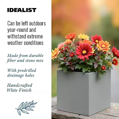 IDEALIST Lite Square Box Contemporary Light Concrete Planter