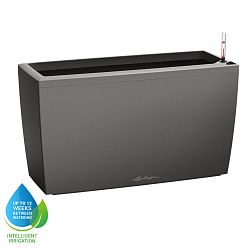 LECHUZA CARARO Trough Poly Resin Self-watering Planter