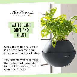 LECHUZA BOLA Color Round Poly Resin Self-watering Planter