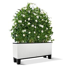 LECHUZA Pedestals for TRIO