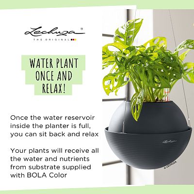 LECHUZA BOLA Color Round Poly Resin Self-watering Planter