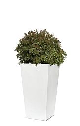 Tall Tapered Fiberstone Contemporary Planter by Cadix Capi Lux