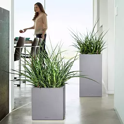 LECHUZA CANTO Stone Low Square Poly Resin Self-watering Planter