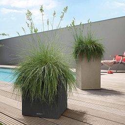 LECHUZA CANTO Stone Low Square Poly Resin Self-watering Planter