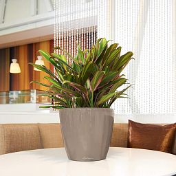 LECHUZA CLASSICO LS Round Poly Resin Self-watering Planter