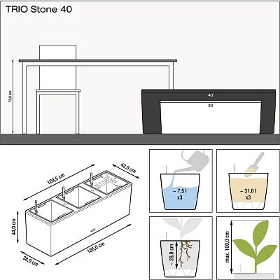 LECHUZA TRIO Stone Trough Poly Resin Self-watering Planter