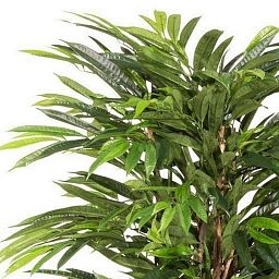 LONGIFOLIA LIANA Artificial Tree Plant
