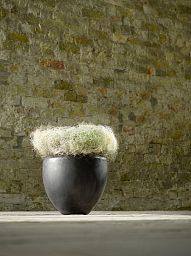 Ceramic De Luxe Round Planter Pot In/Out