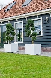 Square Fiberstone Planter by Idealist Premium BLOCK Glossy