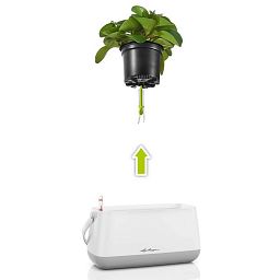 LECHUZA YULA Plant Bag Trough Poly Resin Indoor Self-watering Planter