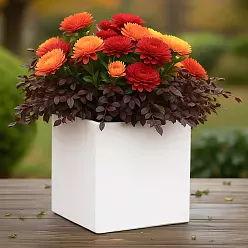 IDEALIST Lite Square Box Contemporary Light Concrete Planter