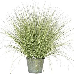 Zebra in metal pot Artificial Grass Plant