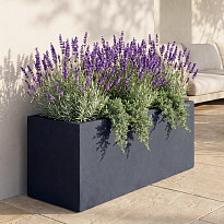 IDEALIST Lite Contemporary Trough Garden Planter, Faux Lead Dark Grey ...