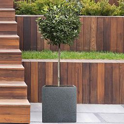 IDEALIST Lite Textured Concrete Effect Square Outdoor Planter