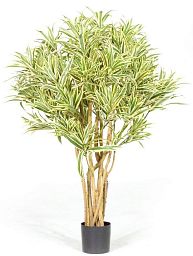 DRACAENA REFLEXA 2 Artificial Tree Plant