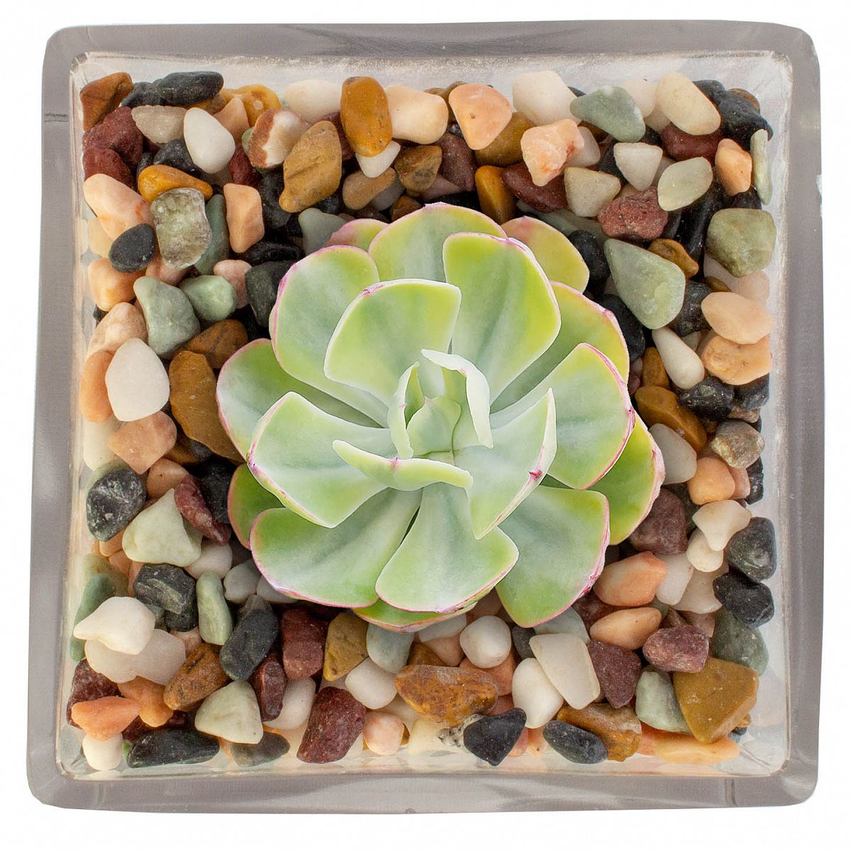 Plant Pot Toppers Stones Mixed River Rocks