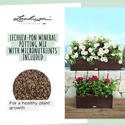 LECHUZA BALCONERA Cottage Trough Poly Resin Self-watering Planter