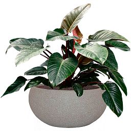 IDEALIST Lite Textured Concrete Effect Bowl Outdoor Planter