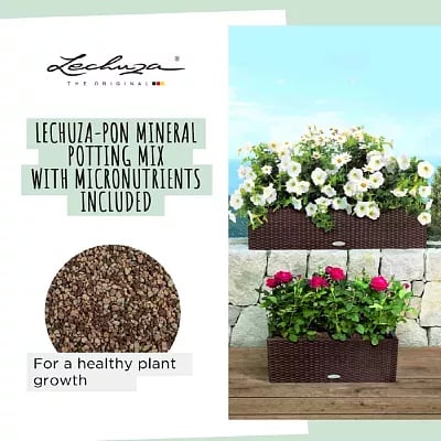 LECHUZA BALCONERA Cottage Trough Poly Resin Self-watering Planter
