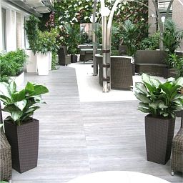 Aglaonema Stripes in LECHUZA CUBICO Self-watering Planter, Total Height 125 cm