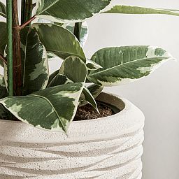 Composits Polystone Partner Seaside Round Tall Indoor Planter Pot