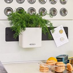 LECHUZA Green Wall Home Kit Color Indoor Self-watering Planter