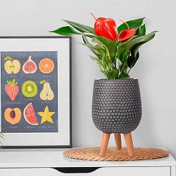IDEALIST Lite Honeycomb Style Egg Planter on Legs, Round Pot Plant Stand Indoor